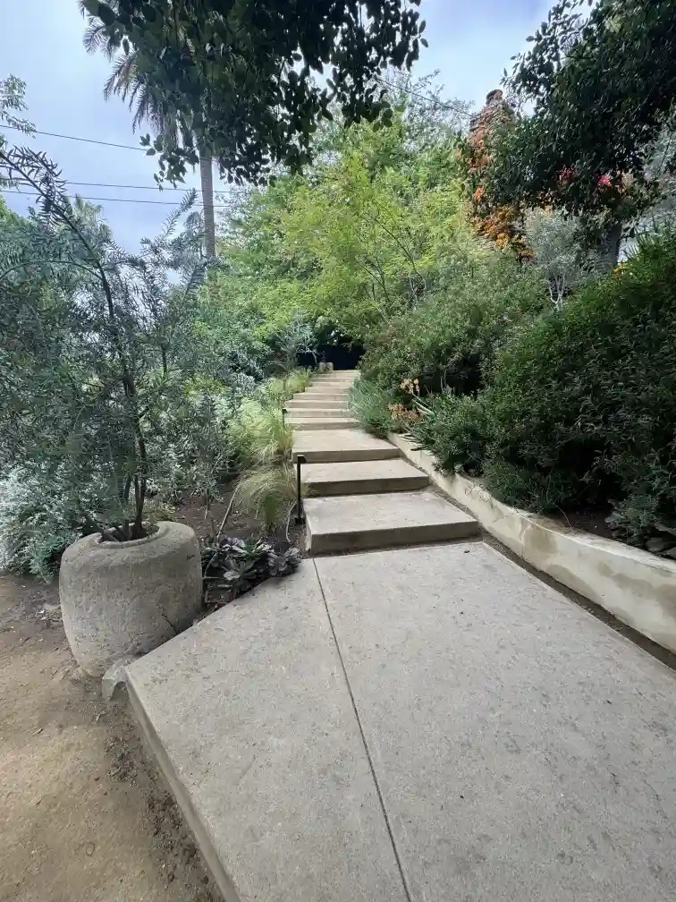 Plant care los angeles